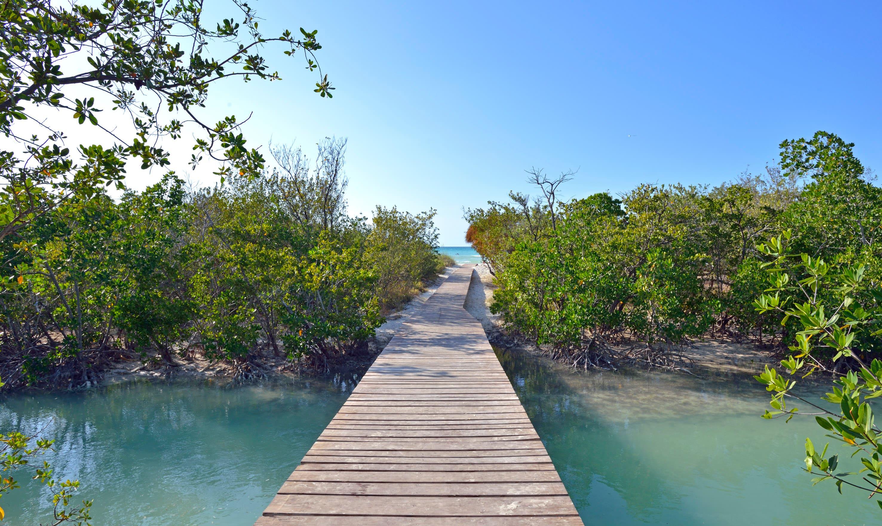 Sol Cayo Coco